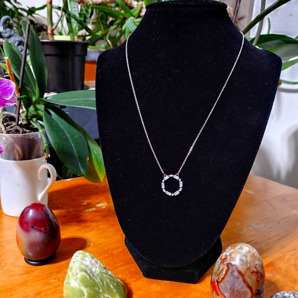 Lovely dainty circle necklace